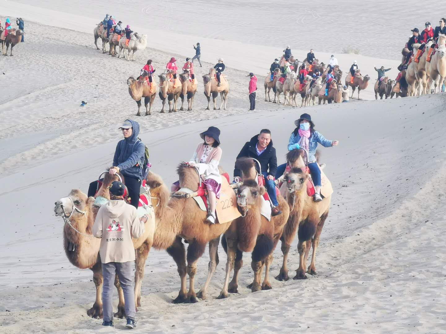 ���ɱ�ŷ��(ABG)�ٷ���վ