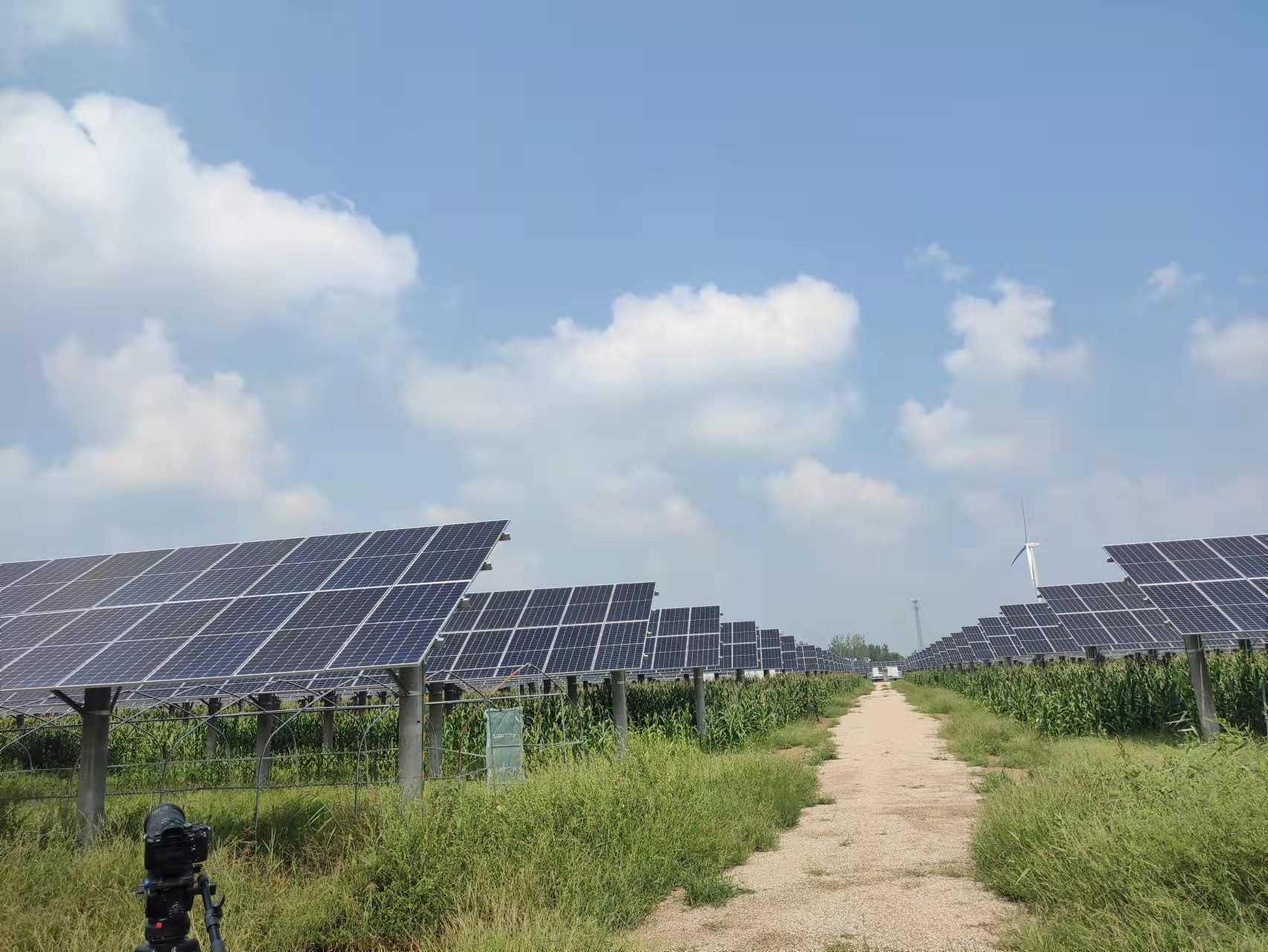 ���ɱ�ŷ��(ABG)�ٷ���վ