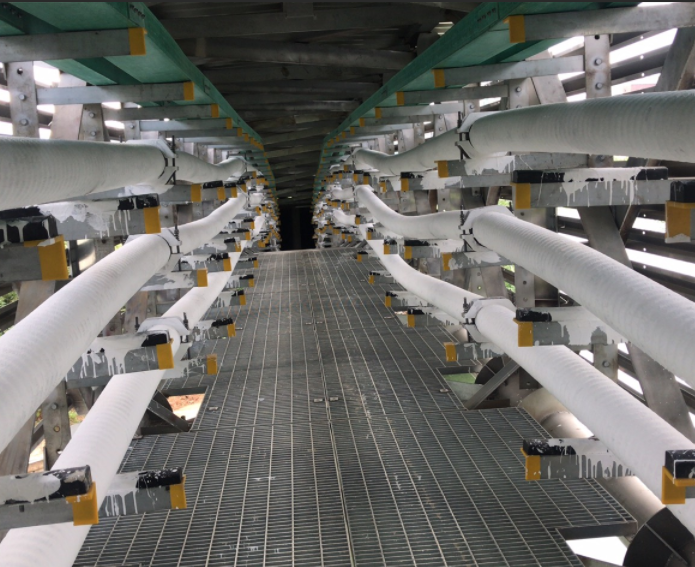 ���ɱ�ŷ��(ABG)�ٷ���վ